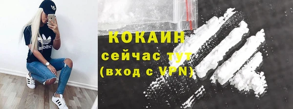 прущие крисы Алзамай