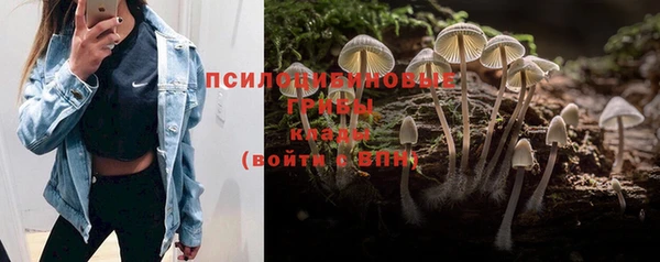 a pvp Абдулино