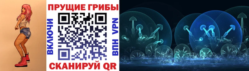 OMG онион  где найти наркотики  Кострома  Псилоцибиновые грибы MAGIC MUSHROOMS 