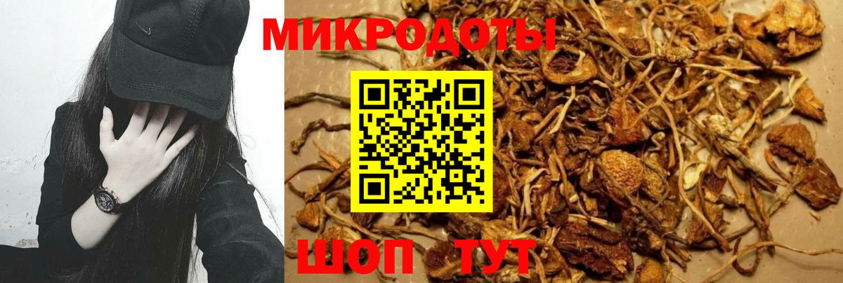 Псилоцибиновые грибы Cubensis  Галлюциногенные грибы ЛСД  Вход с VPN  Кострома 
